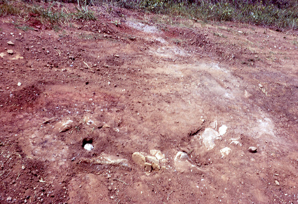 photo of the Governor's house exposed in road