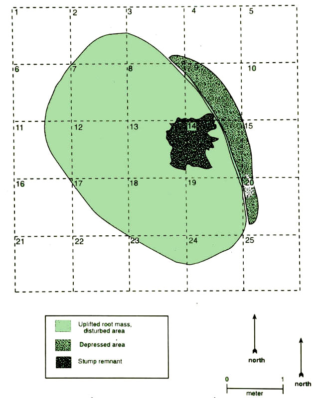 Plan map of the Stump 3 excavation block.