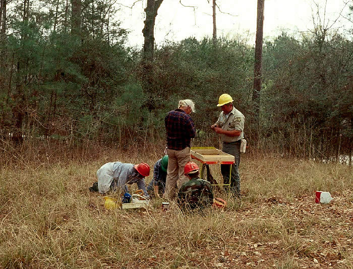 photo of volunteers