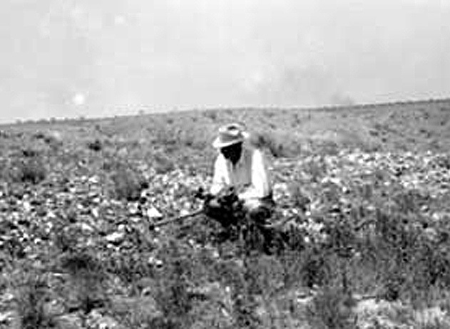 In this circa 1930s photo, an early researcher tests Alibates flint amid thick scatters of quarry debris. Photo by A. T. Jackson.