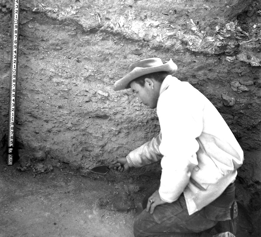 Elton Prewitt points to Bone Bed 2 in profile. Above his head is Bone Bed 3. Photo probably taken by Roy Little in 1964. 