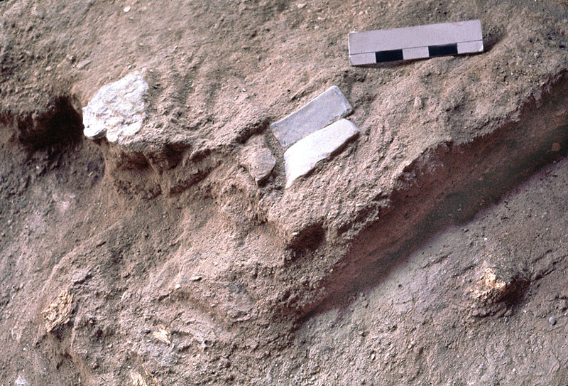 The painted pebble cache as first discovered, with only two of the pebbles exposed. Photo by Roy Little.