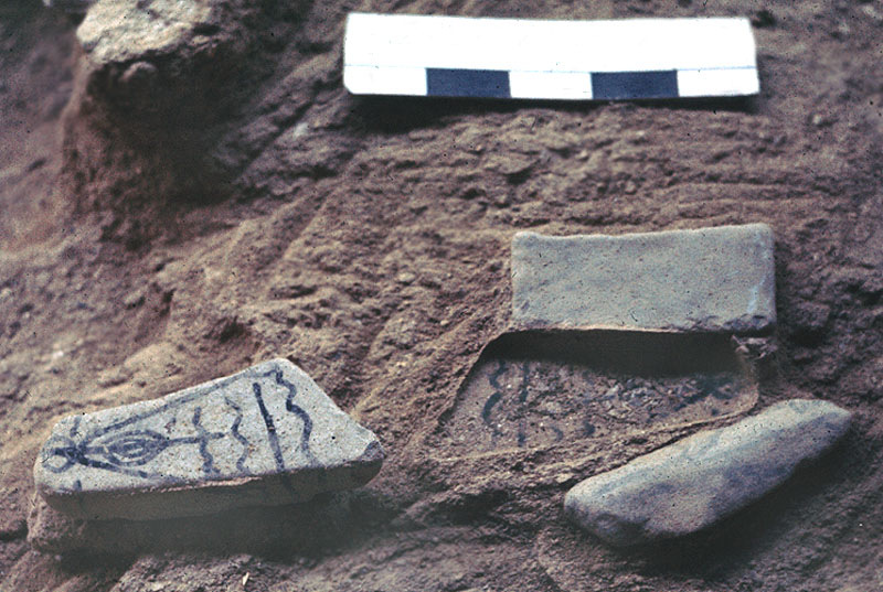 The painted pebble cache after central pebble has been turned over, leaving an imprint of the paint in the soil. Photo by Roy Little.