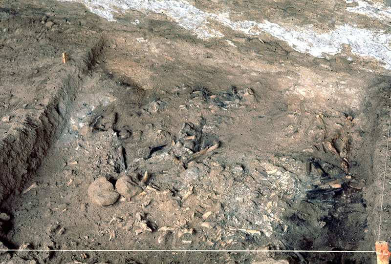 Upper surface of Bone Bed 3 at rear of shelter. Photo probably taken by Dave Dibble in November, 1963.