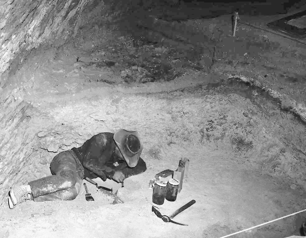 Elton Prewitt exposes top of Bone Bed 2 and applies preservative to fragile bones, December, 1963. Photo probably by Dave Dibble.