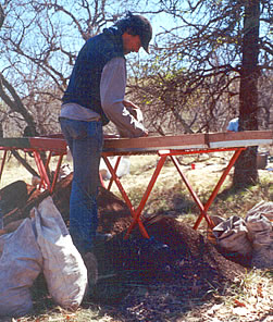 photo of Raymond P. Mauldin