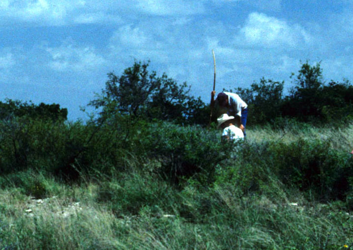 photo of Darrell Creel and Wayne Chesser