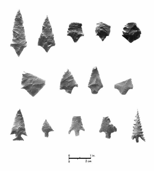 photo of arrow points from the Blow Out Mountain component at Site 41TG91