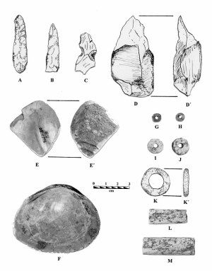 photo of examples of lightly serrated Perdiz points from Rough Run 