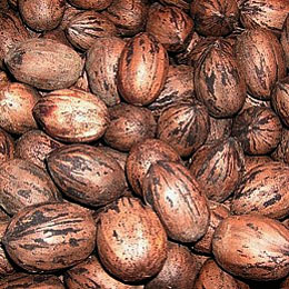 photo of pecans