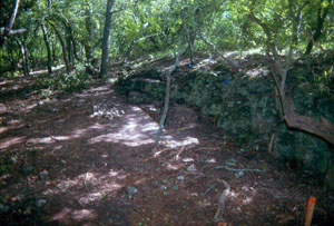 Photograph of the sandstone quarry