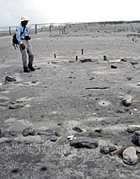 Dr. Eugene George, professor of architecture at UT San Antonio and noted authority on Spanish Colonial structures, surveys the remains of an exposed structural ruin during survey. 