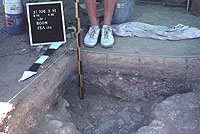 Feature 132, a cross section of an average-sized roasting pit or oven where large pieces of adobe were used to retain heat. Rocks were frequently used in features of this sort elsewhere in the Hueco Bolson, but surface rocks do not occur in the vicinity of the site.