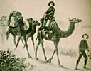 Camel Corps