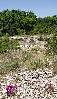 quarry