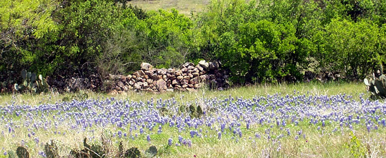 ruins at Moss ranch