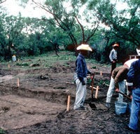 photograph of the excavation