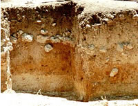 Stratigraphic section at Gault. The Clovis deposits are in the bottom third of this profile.