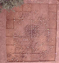 House 1 after central hearth and floor surface exposed. Excavation units are still gridded off string at corner posts. Photo by Andy Maloff.