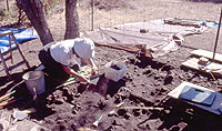 Excavator digging through rocks of the midden. Tarps (to the side) cover other units. Photo by Chuck Hixson.