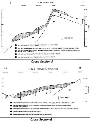 Image of cross sections.