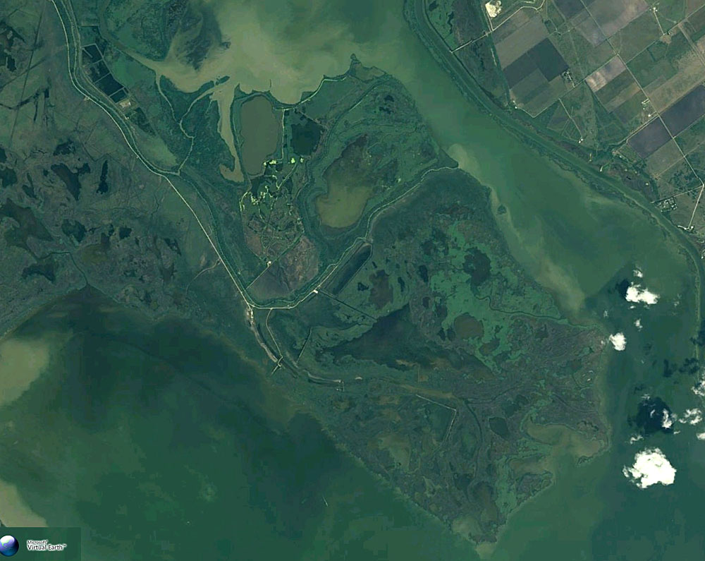 Image of Aerial view of modern Guadalupe River delta.