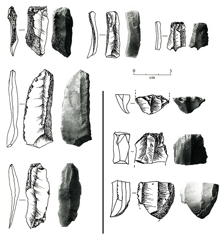 Image of Blades and polyhedral blade core remnants.