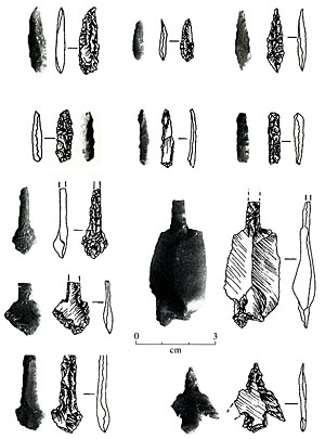 Image of Various styles of perforators.