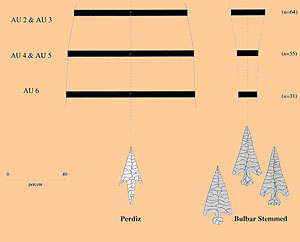 Image of Bulbar Stemmed variants.