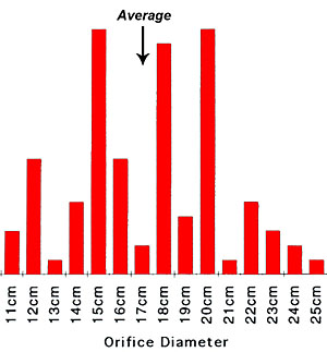 Image of Orifice (mouth opening) diameter of beakers and jars at the Guadalupe Bay site.