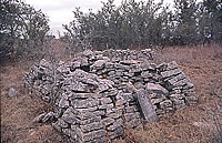 A cut stone cairn with a hand-carved marker of I. Hale. The Missouri native died in 1883, his grave one of the few still identifiable in this small cemetery. Photo by Tom Hester.