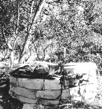 A deep, hand-dug well, lined with cut limestone, provided water at an upland farmstead during the early 1900s. It is now the only surviving structure of that farm. Photo by Susan Dial.