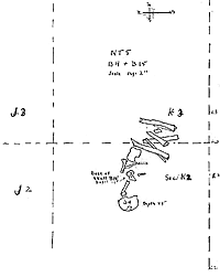 field drawing of bones