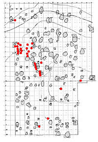 map showing small cemetery