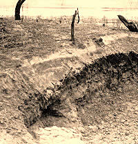 Burned rocks eroding out of a gully bank