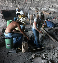 Photo of crew excavating in Hinds Cave