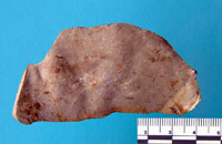 dirty stone flake tool