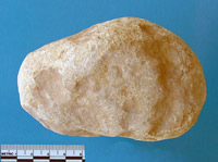 hammer stone