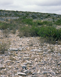 photo of ground