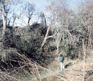 photo of dry bed of Chiltipin Creek