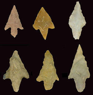 photo of perdiz arrow points