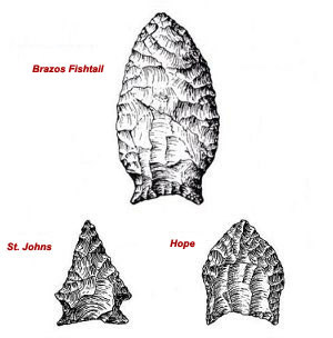 illustration of diagnostic projectile points