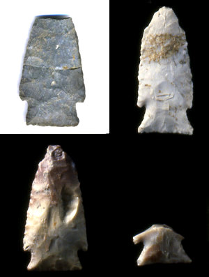 photo of Wilson points