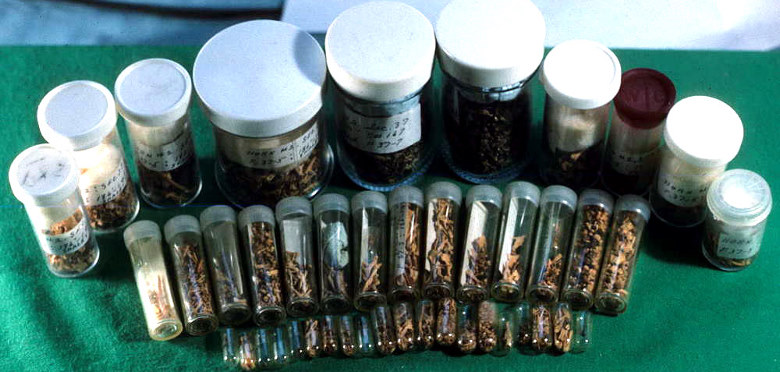 photo of vials of animal bone