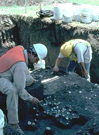 Photo of the excavation