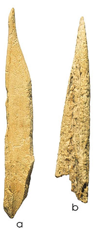 Photo of bone tools