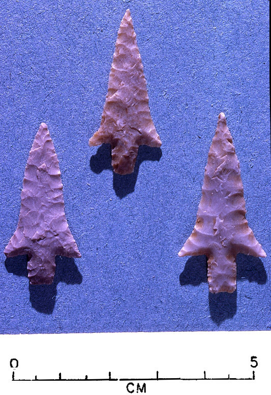 Photo of Alba arrow points