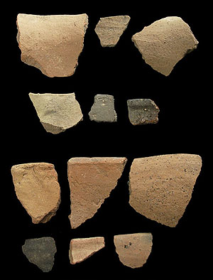 photo of Capote Plain rim sherds from Millington