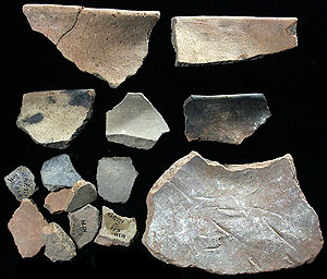 photo of Chinati Plain sherds from Millington.