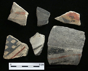 photo of Medio phase Casas Grandes pottery